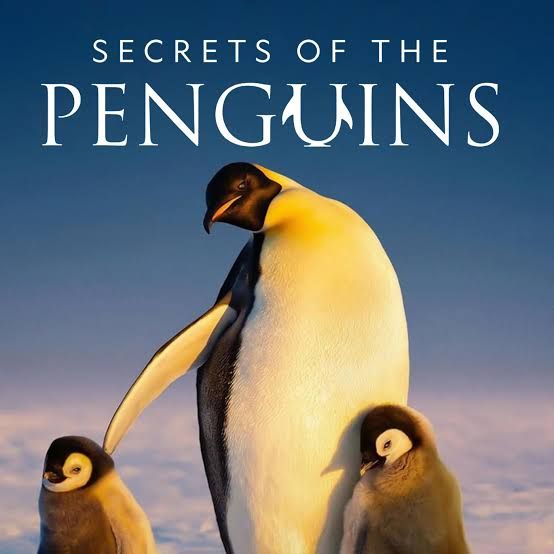 secrets of the penguins